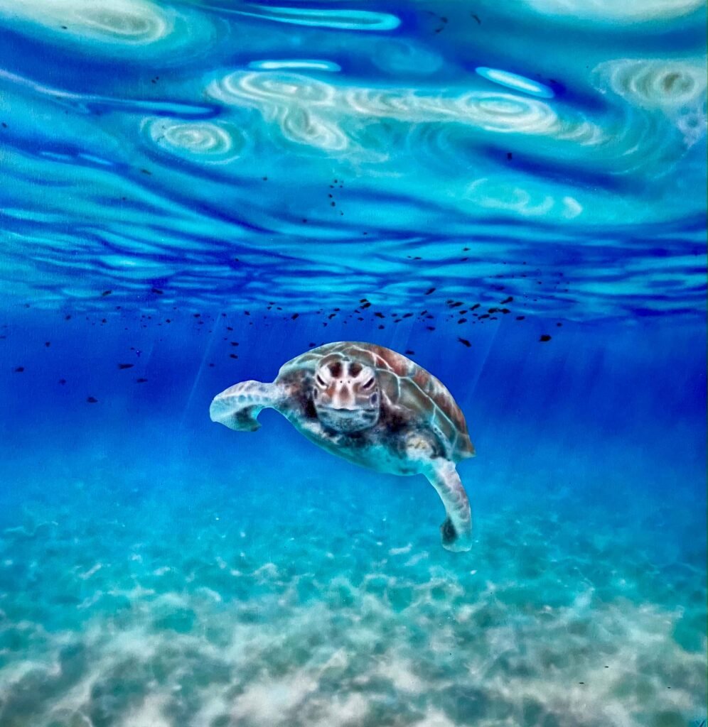 Formentera Verde