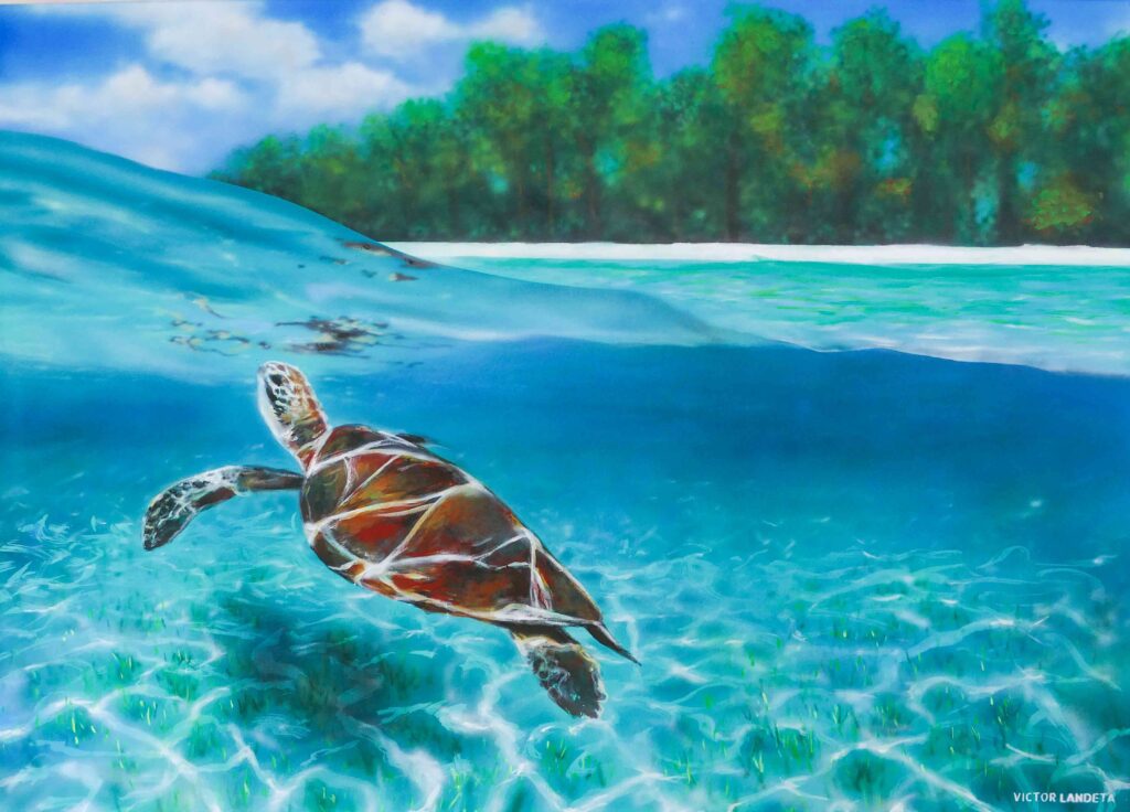 Tortuga Gilis