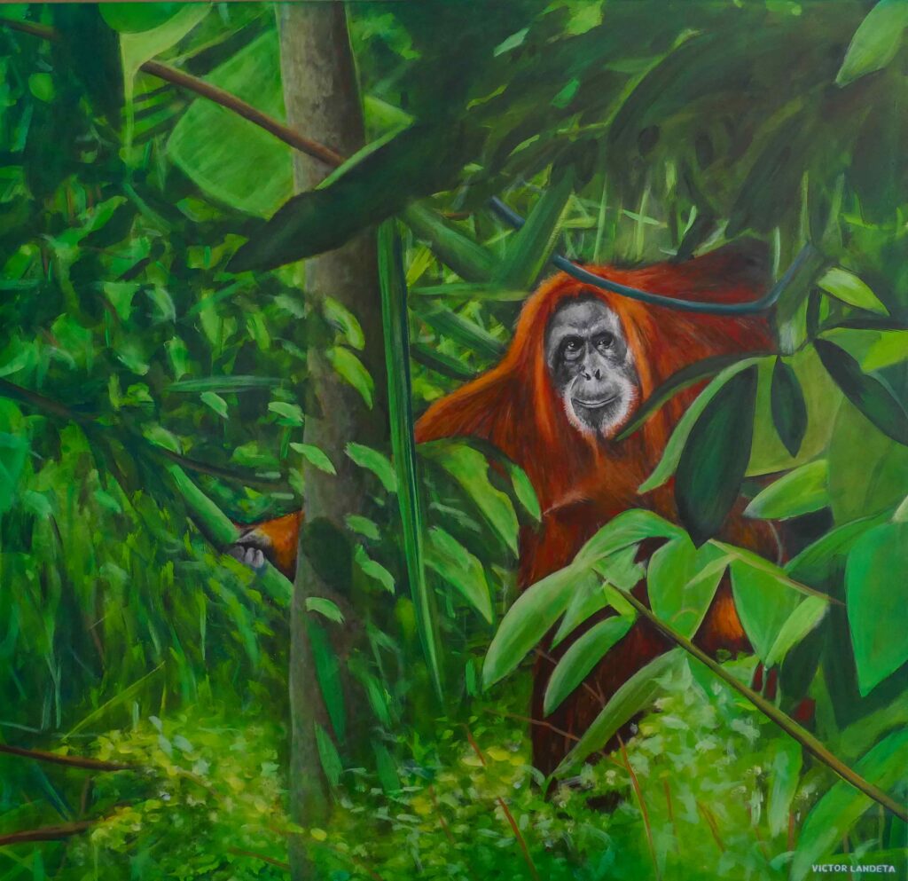 Orangutan Sumatra