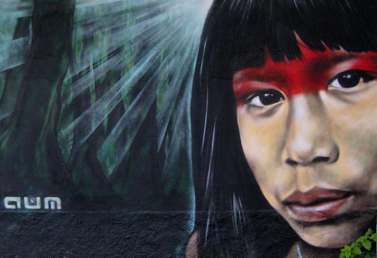 Salvemos la Amazonia