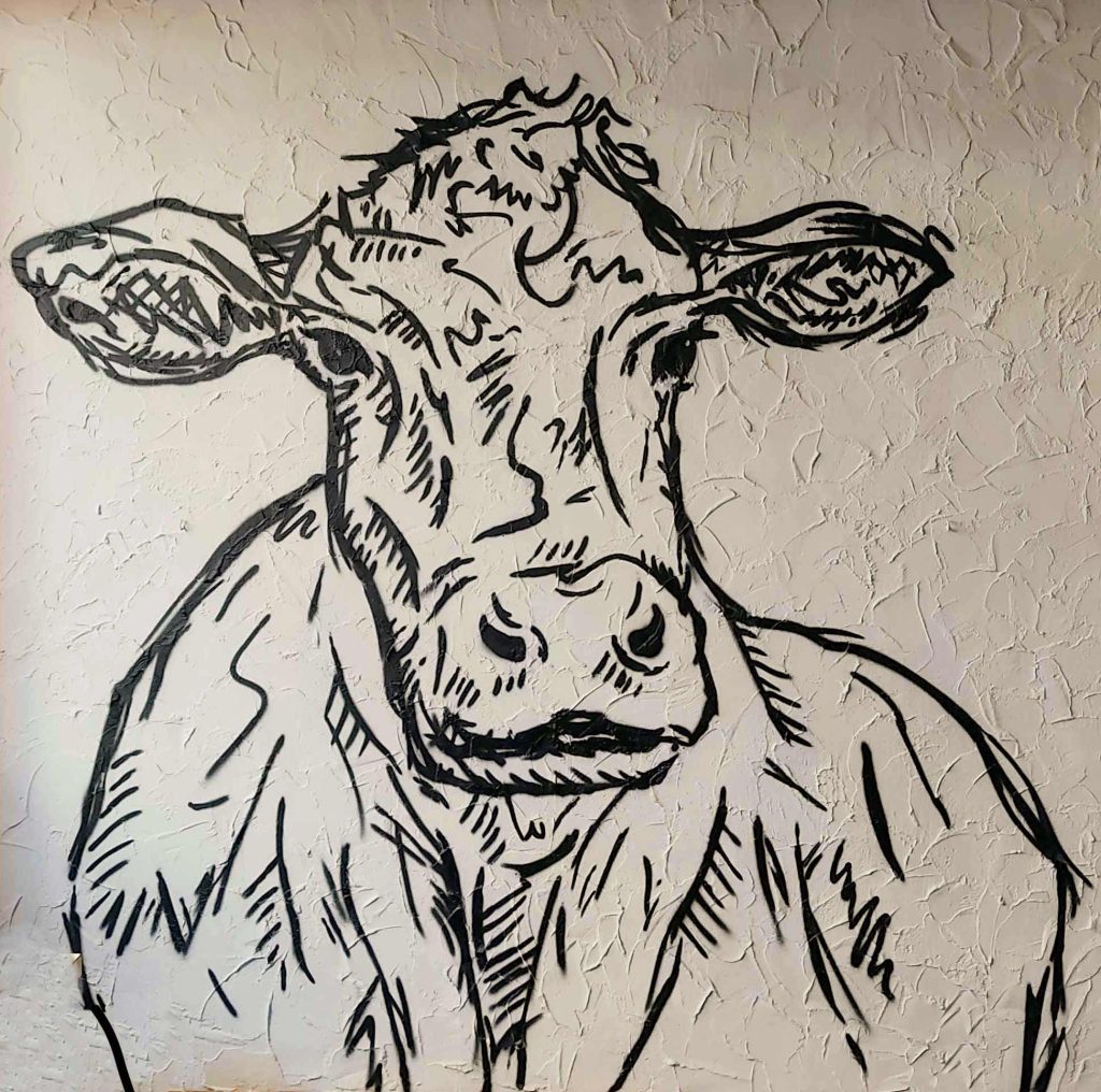 Vaca